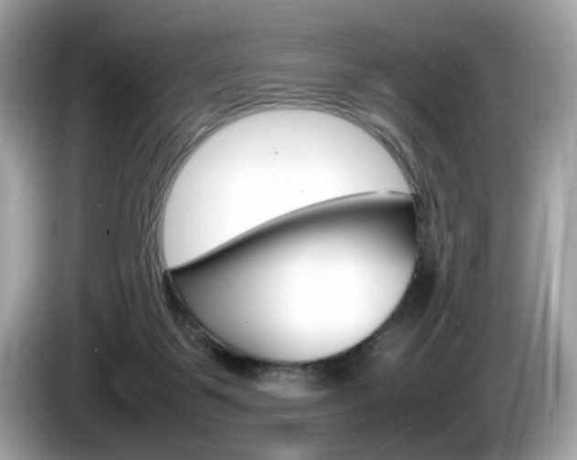 X0000086230123200703290952