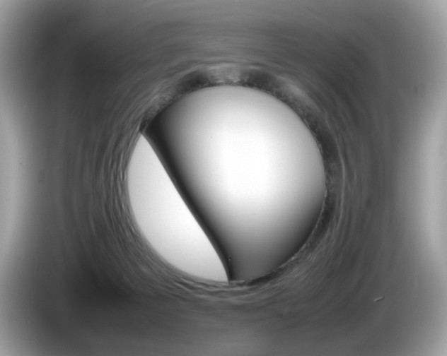 X0000086230125200703290952