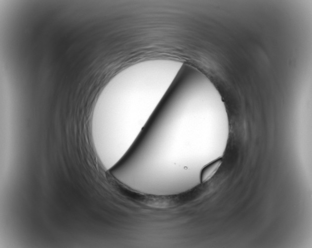X0000086230127200703290952