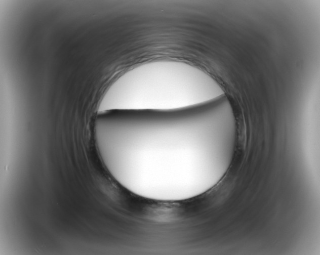 X0000086230128200703290952