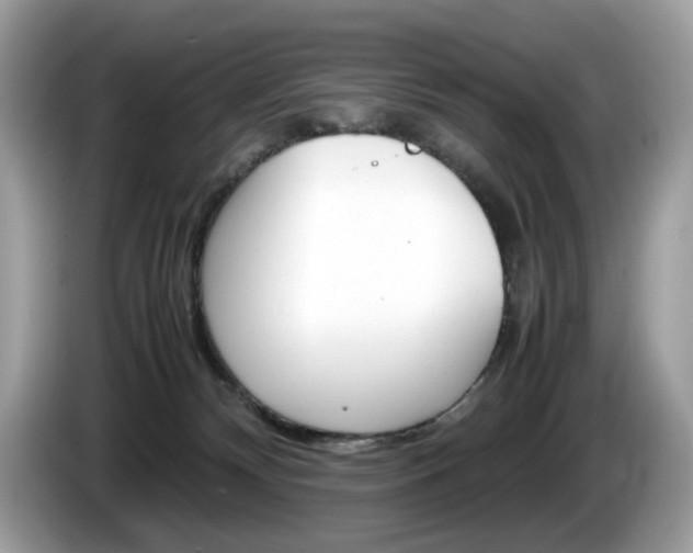 X0000086230132200703290952