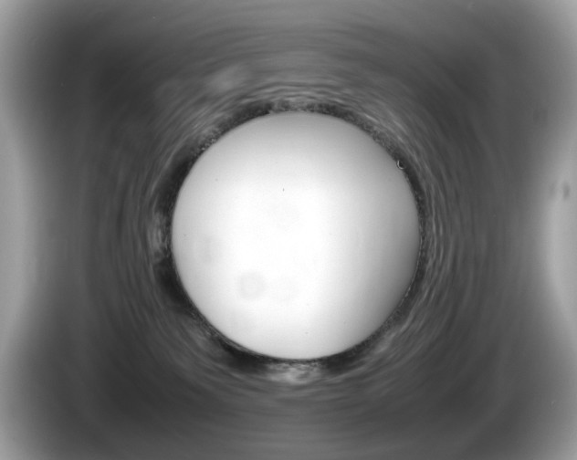 X0000086230135200703290952