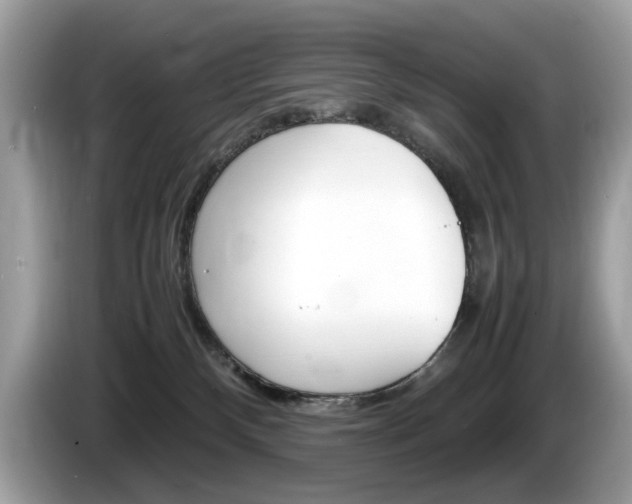 X0000086230136200703290952