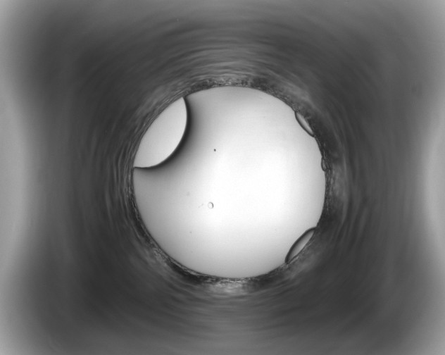 X0000086230138200703290952