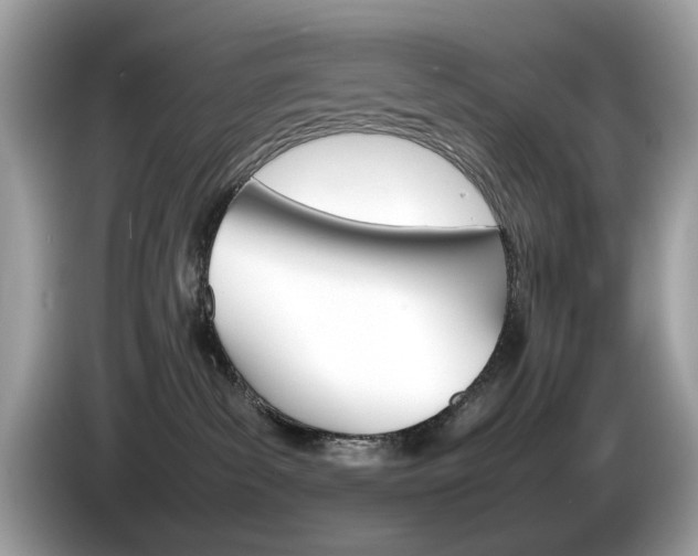 X0000086230139200703290952