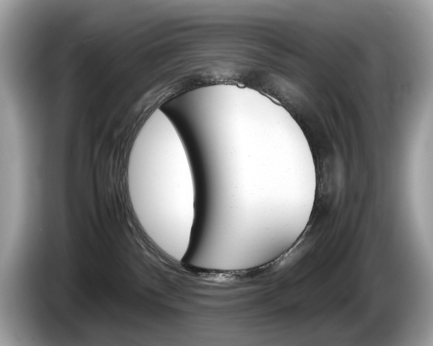 X0000086230140200703290952