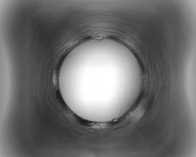 X0000086230143200703290952