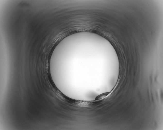 X0000086230144200703290952