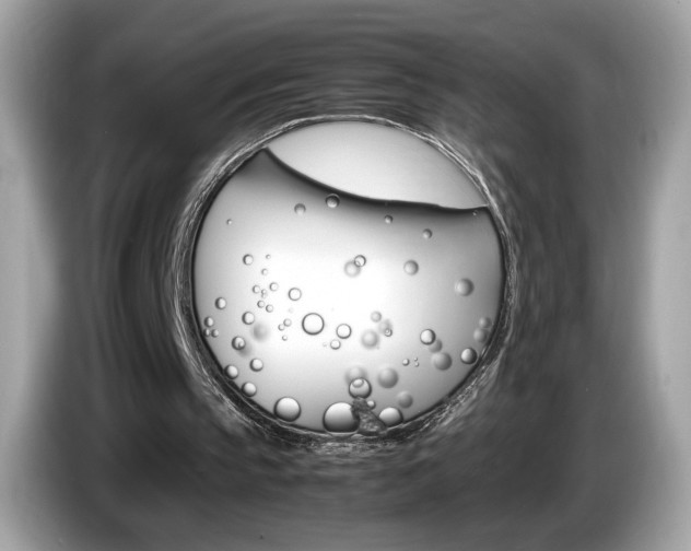 X0000086230145200703290951
