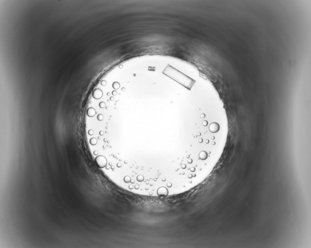 X0000086230146200703290951