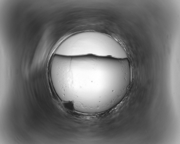 X0000086230147200703290951