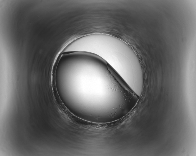 X0000086230148200703290951