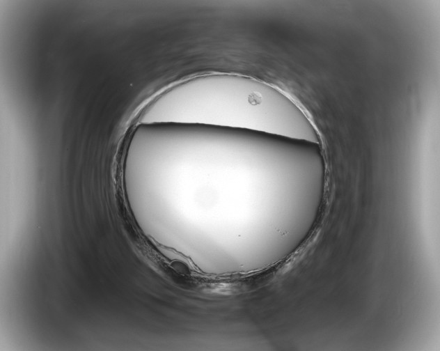 X0000086230151200703290951