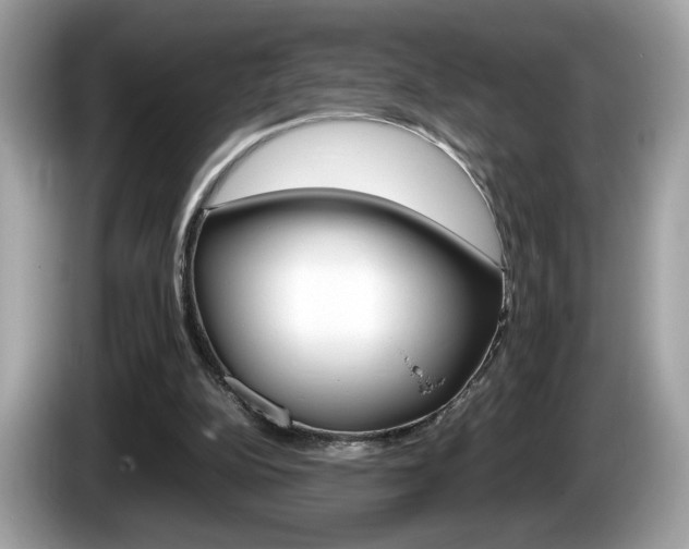 X0000086230152200703290951