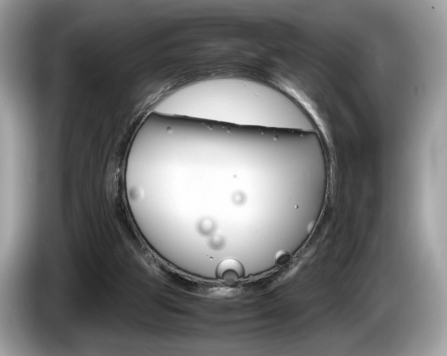 X0000086230153200703290951