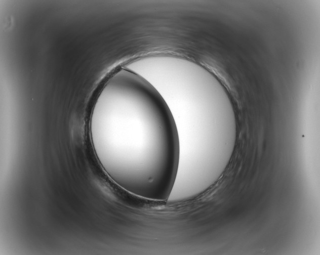 X0000086230156200703290951