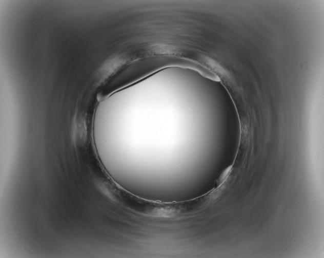 X0000086230158200703290951