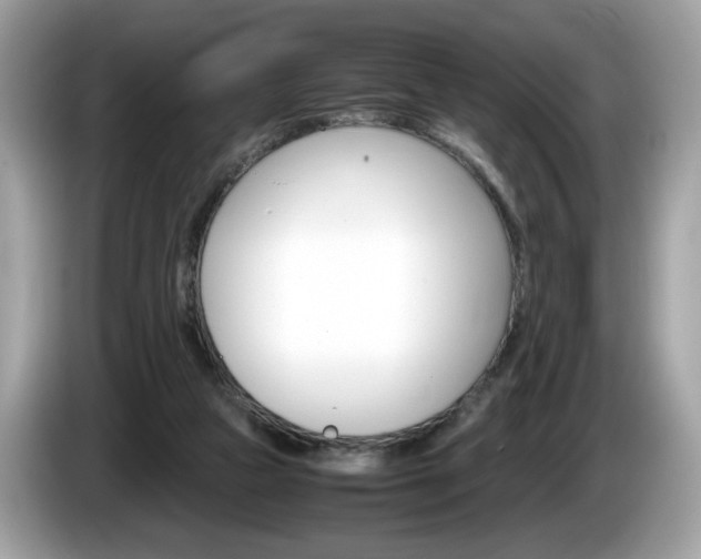 X0000086230161200703290951