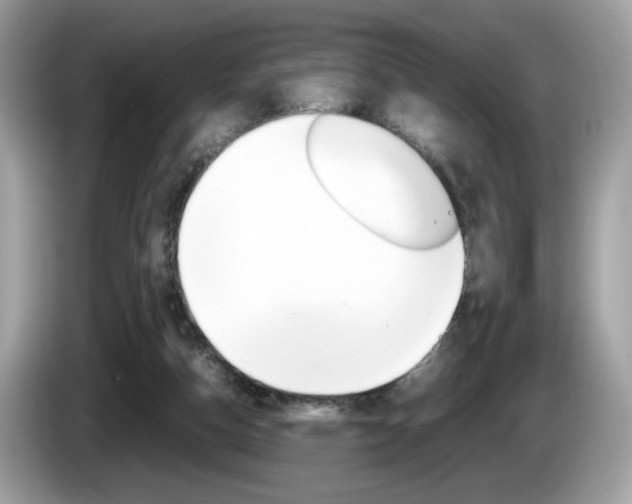 X0000086230162200703290951