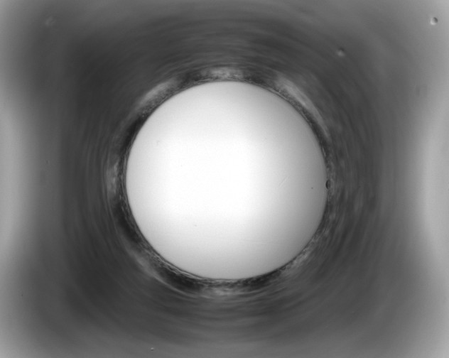 X0000086230163200703290951