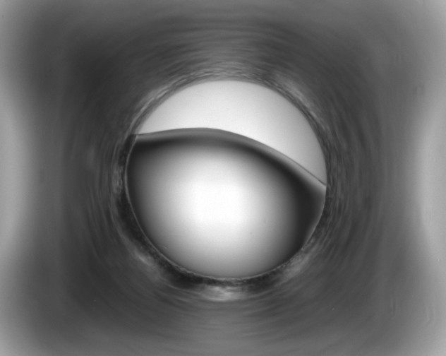 X0000086230164200703290951