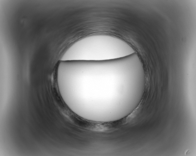 X0000086230166200703290951
