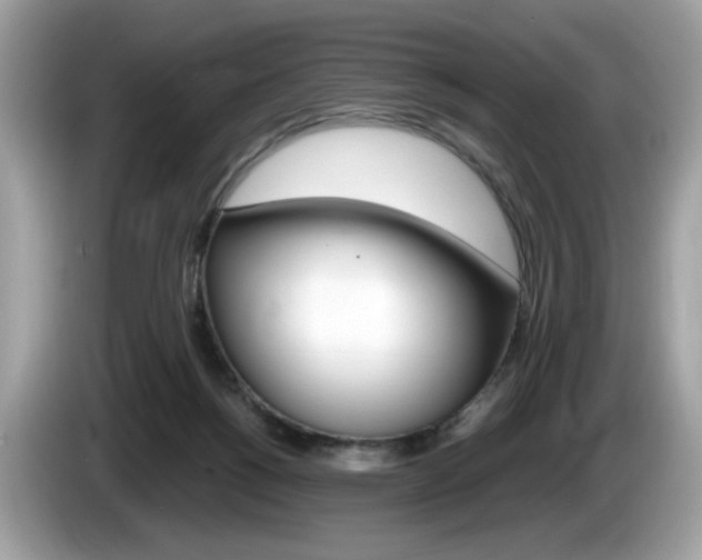 X0000086230168200703290951