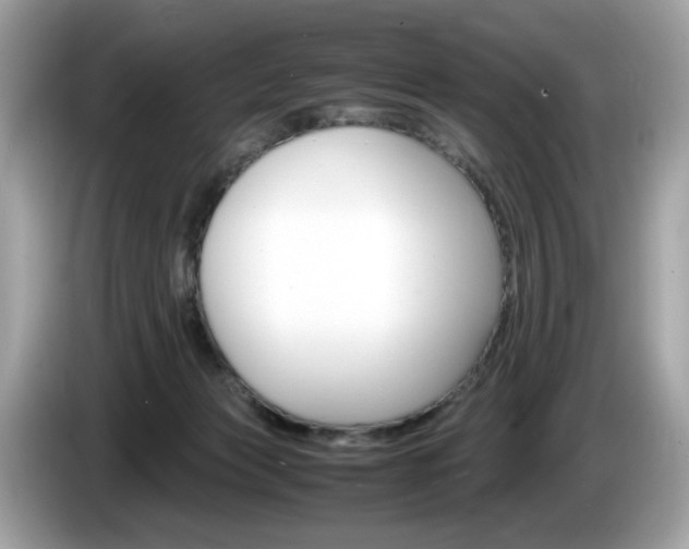 X0000086230173200703290951