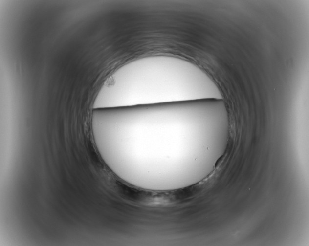 X0000086230175200703290951