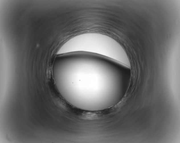 X0000086230180200703290951