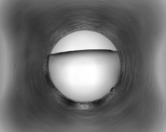 X0000086230181200703290951