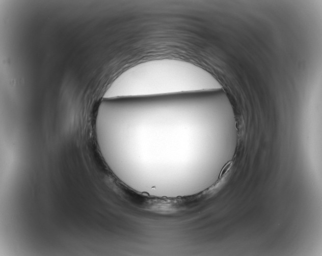 X0000086230182200703290951
