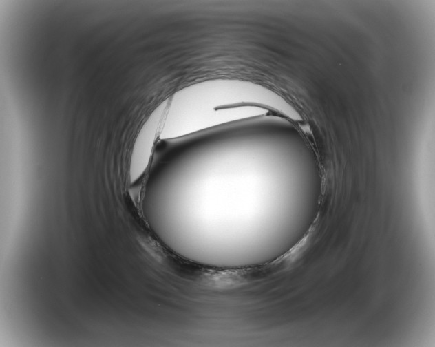 X0000086230186200703290951