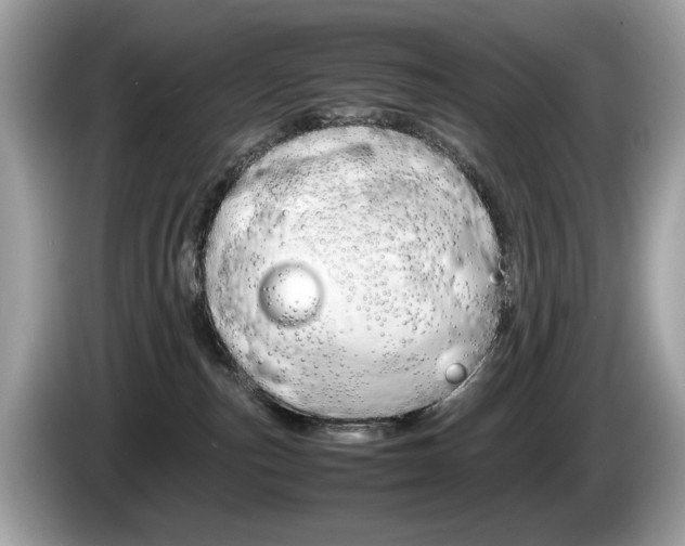 X0000086230187200703290951