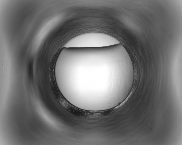 X0000086230191200703290951
