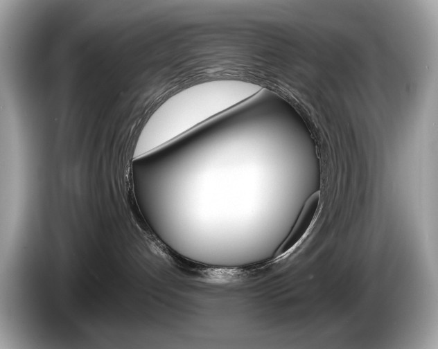 X0000086230192200703290952