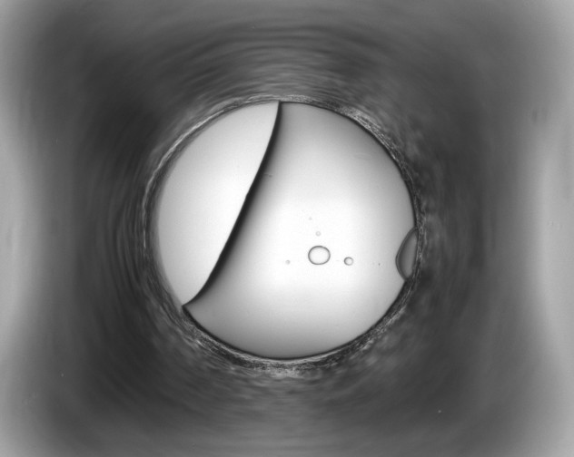 X0000086230194200703290951