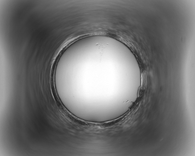 X0000086230195200703290951
