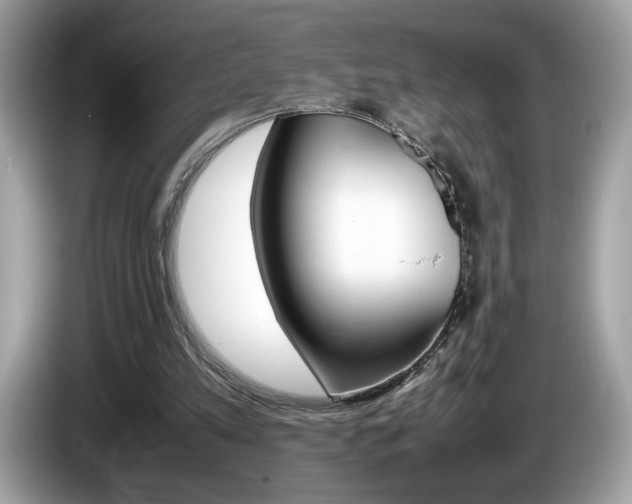 X0000086230197200703290951