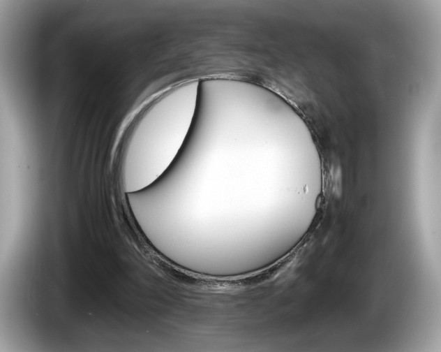X0000086230198200703290951