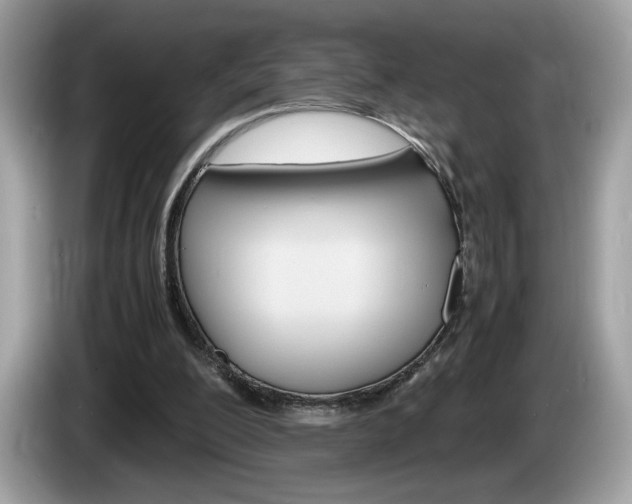 X0000086230200200703290951