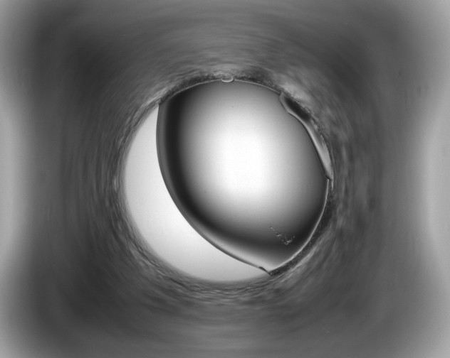 X0000086230201200703290951
