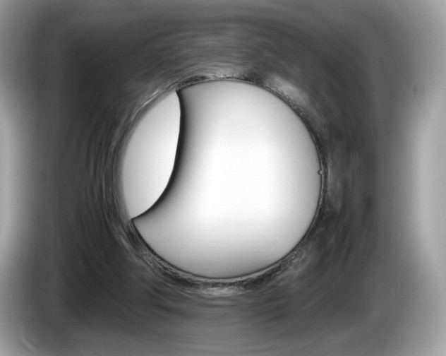 X0000086230202200703290951