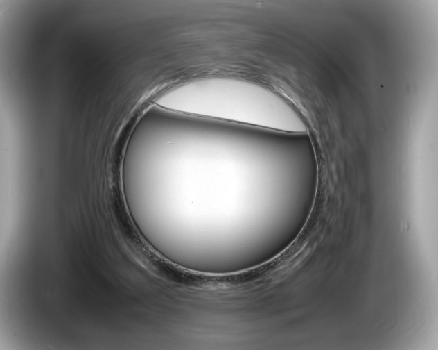 X0000086230203200703290951