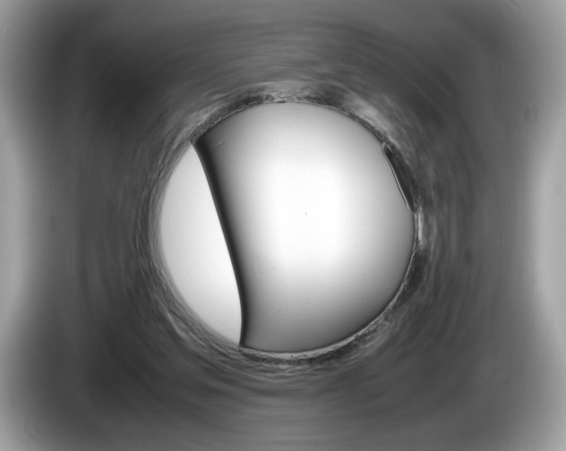 X0000086230205200703290951