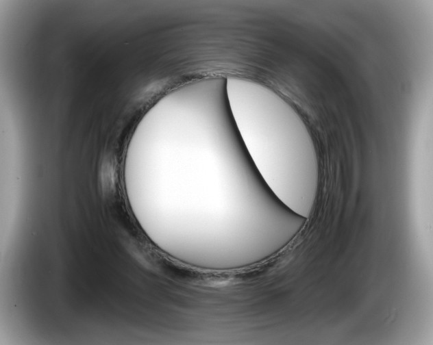 X0000086230206200703290951