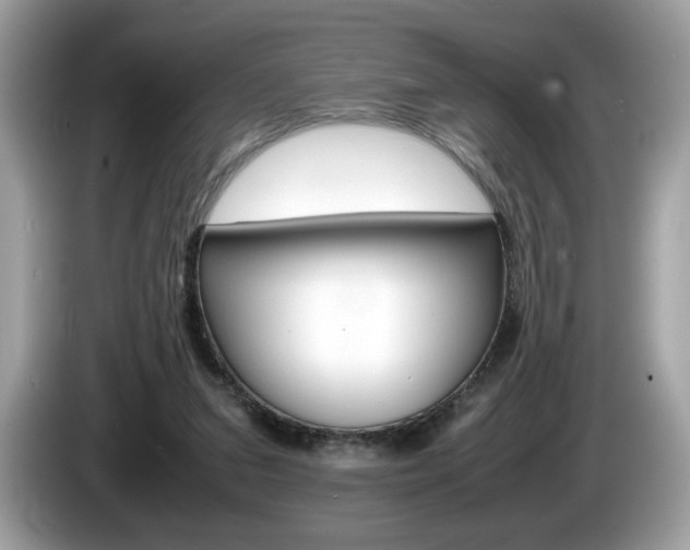 X0000086230207200703290951