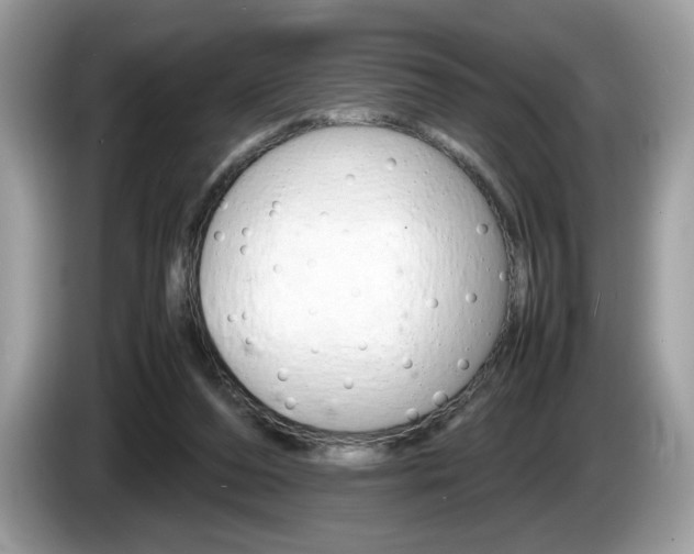 X0000086230208200703290951