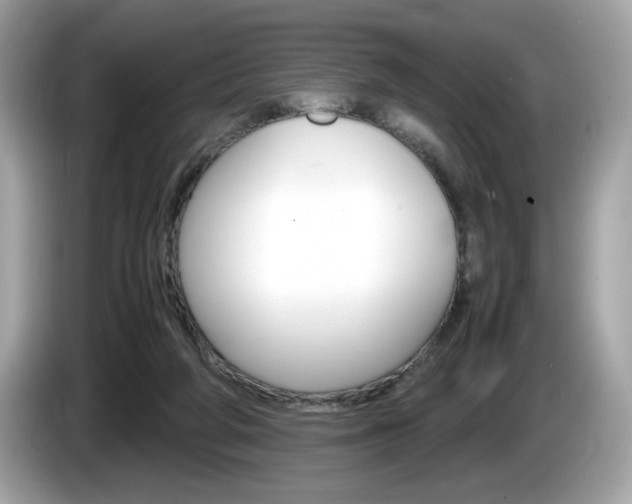 X0000086230210200703290951