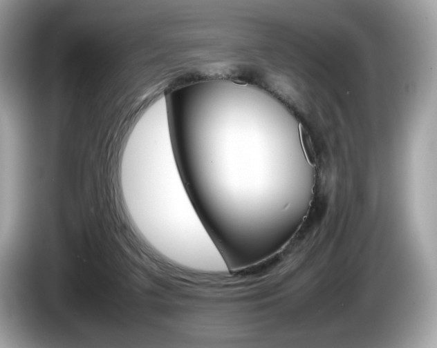 X0000086230211200703290951